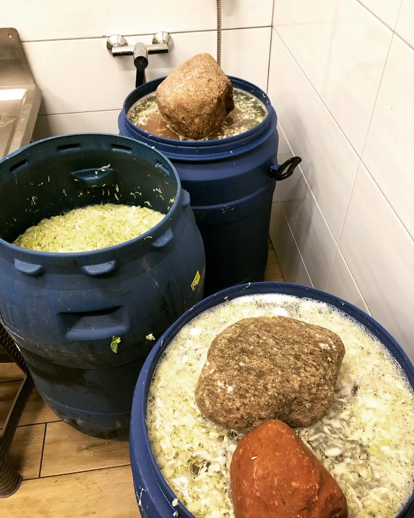 Kapusta kiszona w beczkach